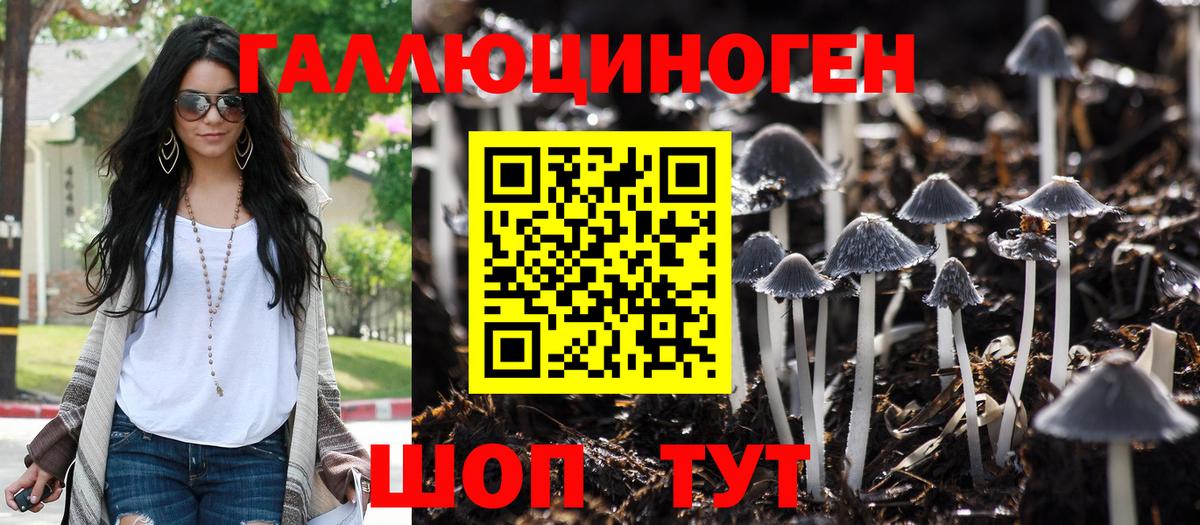 Псилоцибиновые грибы GOLDEN TEACHER  Галлюциногенные грибы Cubensis  Вход с VPN  Мурманск 