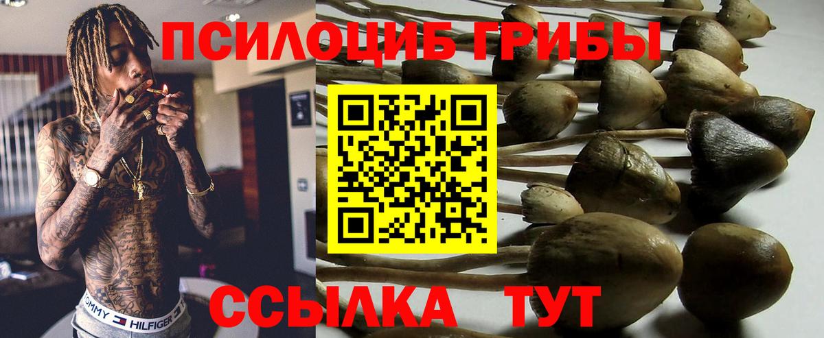Галлюциногенные грибы мицелий Мурманск