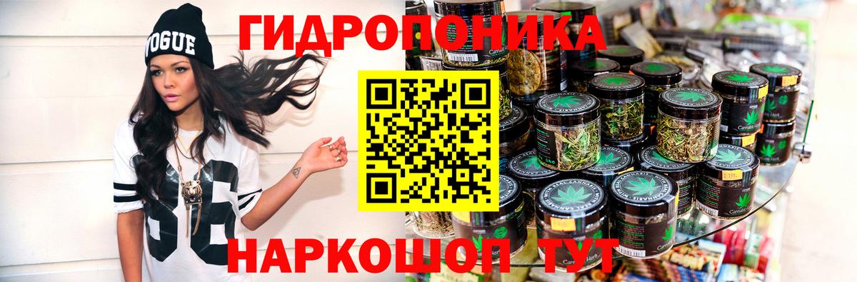Мурманск  МАРИХУАНА план  МАРИХУАНА план  Конопля OG Kush  Вход с VPN 